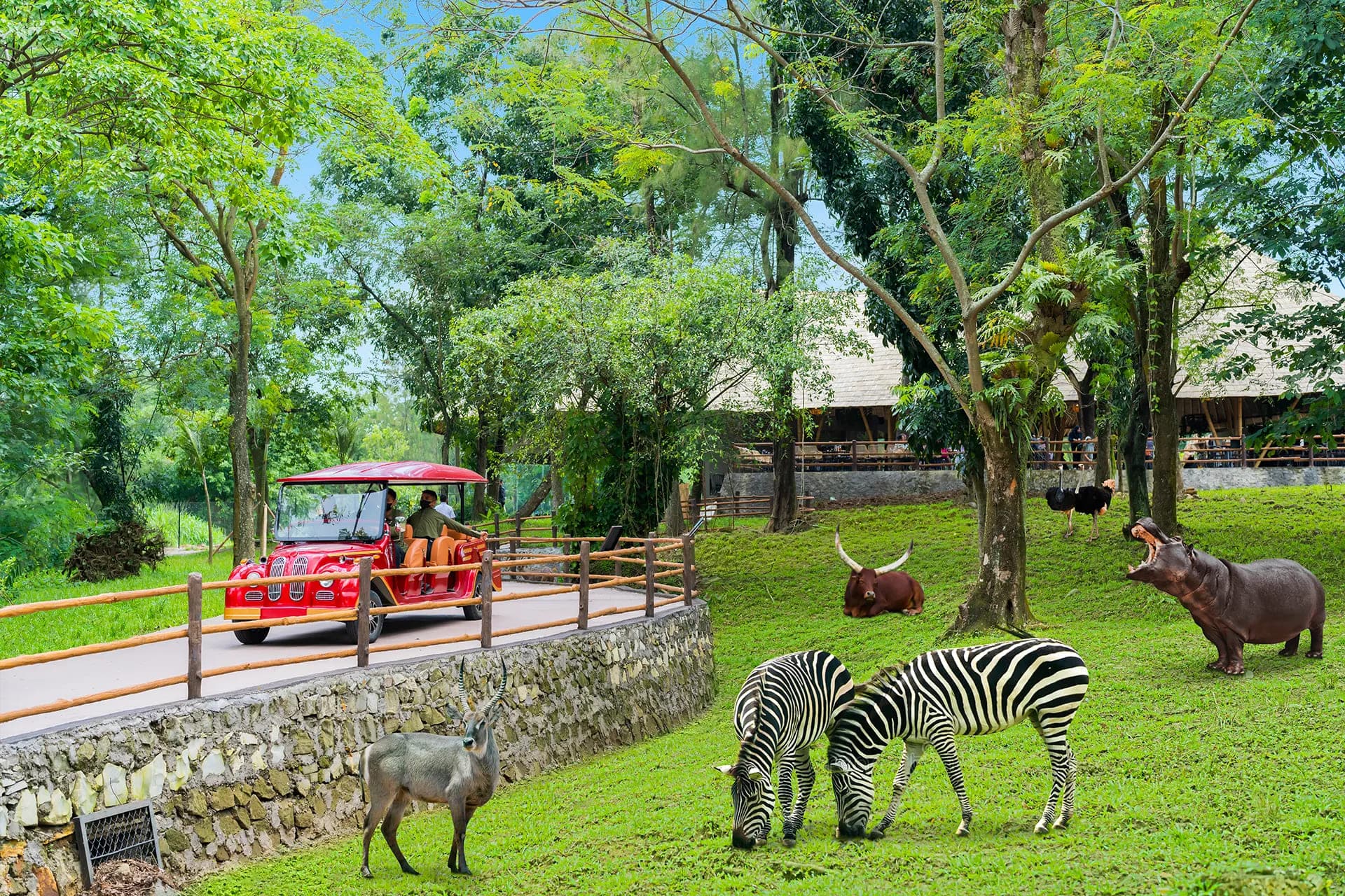 Wisata Semarang — Semarang Zoo & Watu Gajah Park